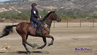 232XC Justine Kiosoglous on Record Year Training Novice Chal. Cross Country Galway Downs Oct. 2020