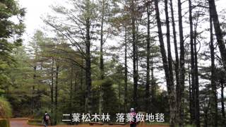 松山社大國家公園之美\u0026生態旅遊2012秋季