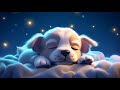 Peaceful Sleep In 3 Minutes, Fall Asleep Fast - Sleep Music for Deep Sleep - No More Insomnia