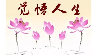 暢談六祖壇經（027）深觀無常