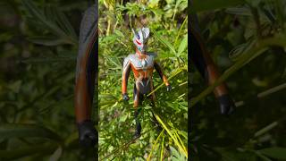 【ULTRAMAN】ダークロプスゼロを探せ！#shorts