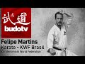 Felipe Martins - Karate KWF Brasil - Karatenomichi