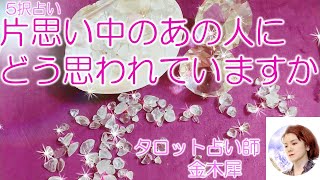 辛口【タロット占い5択】片思い中のあの人にどう思われていますか