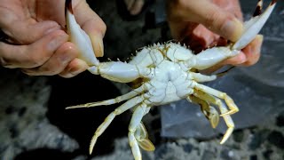 カニを獲って食う（奥尻島）