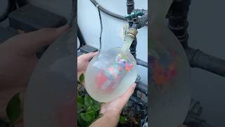 Ultimate Satisfying Balloon Drop Test 😍