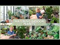 How to Water Indoor Plants | The Greenery Garden & Home