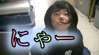 ありみ猫【松丸家チャンネル】