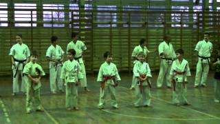 CSONGRÁDI TRADICIONÁLIS KYOKUSHIN KARATE SPORT EGYESÜLET