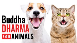 Buddha Dharma for Animals: What the Buddhist Teachers Say About Doggy and Kitty Dharma