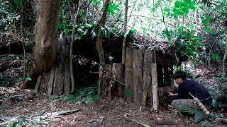 Make a shelter under a tree, hunt fish, pick wild fruits and cook, and get clean water from the tree