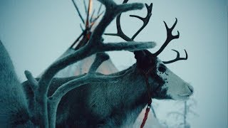 Esso - The Reindeer Princess