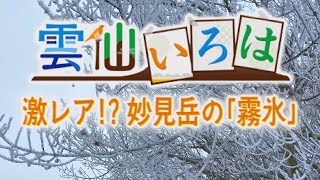 雲仙いろは④～激レア⁉妙見岳の霧氷～【NCCトコトンHappyサタデー】