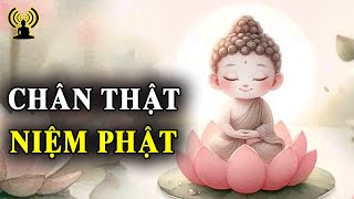 Tâm niệm Phật không đổi không dời, không lay động bởi ngoại cảnh, tự tại an nhiên là giải thoát.