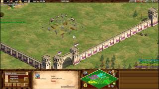 AoE II - 2v2 Arena