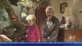 Long Island Couple Escapes After Tree Toppled Through Home