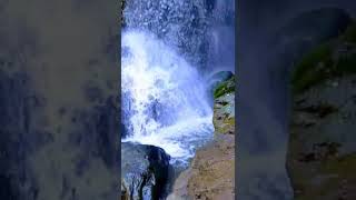 Railima Water falls #shorts#ytshorts #youtubeshorts #odisha #railima