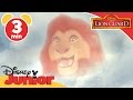 The Lion Guard | Bunga the Wise | Disney Junior UK