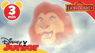 The Lion Guard | Bunga the Wise | Disney Junior UK