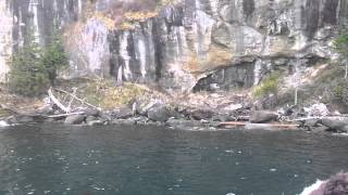 Deer at cliffs by the sea outside Vancouver Island