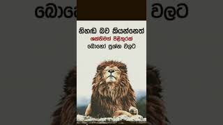 නිහඬබව කියන්නේත් හොඳම ආයුධයකි. ⁣බොහෝ ප්‍රශ්න වලට😎👍