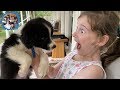 SURPRISING THE KIDS WITH A PUPPY!