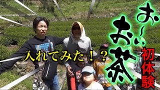 #33【茶畑】お茶ってこんな風に出来るんか！！