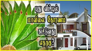 Benefit of tying Mango Leaves in New House?புதிய வீட்டில் மாவிலை தோரணம் கட்டுவதற்கு காரணம் தெரியுமா?