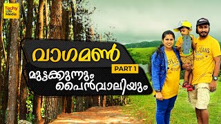 Vagamon Muttakunnu | Pine Forest | Pine Valley | Meadows | വാഗമൺ മുട്ടക്കുന്നുകൾ പൈൻ വാലി