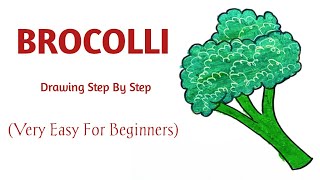 How to draw Broccoli | Broccoli drawing step by step