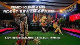 SIMO KUMBANG BABAK KEWAN KEWAN LIVE PERFORMANCE KANDANG SENDIRI DALAM RANGKA SADRANAN#simokumbang