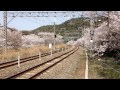 【桜満開‼】jr阪和線 ~山中渓の桜並木を行く紀州路快速~ 225系 u0026223系