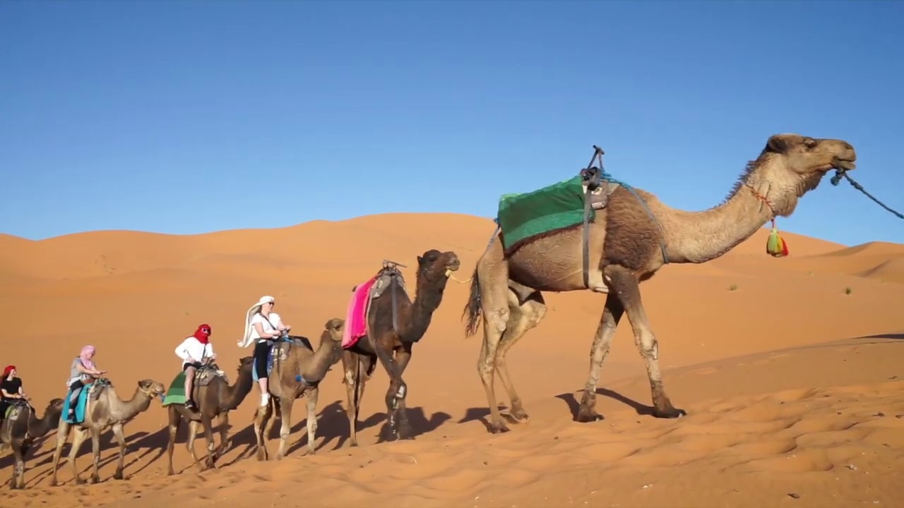 BEST THINGS TO DO IN MOROCCO IN 10 DAYS - YouTube