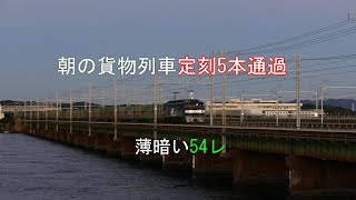 JR貨物 2022/11/16 薄暗くなった54レ 朝の貨物列車定刻5本 東海道本線