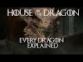 House of the Dragon: Every Dragon Explained