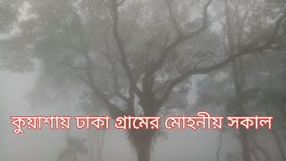 কুয়াশায় ঢাকা গ্রামের মোহনীয় সকাল।