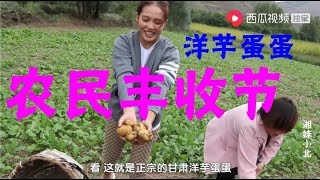 【湘妹小北】小南的亲姐首次出镜，跟小北比谁和小南更像？