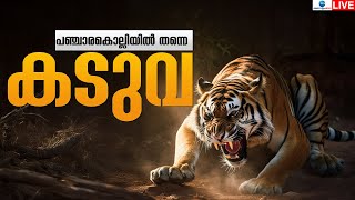 Live : Wayanad Woman death in Tiger Attack | കടുവ  പഞ്ചാരകൊല്ലിയിൽ തന്നെ  | Zee Malayalam News