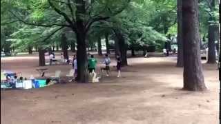 2015年8月9日　野川公園