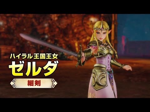 Hyrule Warriors: Bug Princess Agitha, QUEEN Zelda and Impa Greatness