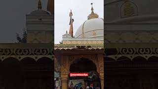 Qawali Jholi bharega Murada Teri Mehrauli Sharif Dargah Delhi #dargah @maslak-e-sufiya