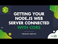 Getting Your Node.js Web Server Connected with CORS | Node.DC Meetup