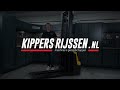 kippers rijssen stapelaar elektrisch 1500kg 115cm