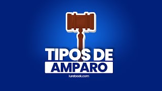 Vías procesales en el juicio de amparo #cursodeamparo