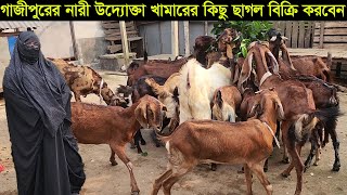 গাজীপুরের নারী উদ্যোক্তা খামারের ছাগল বেশি হওয়াতে কিছু ছাগল বিক্রি করে দিচ্ছেন Gazipur goat farm