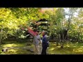 【長野観光】苔と紅葉の名所　長野県飯山市・称念寺（しょうねんじ）＃称念寺　＃飯山市観光名所　＃長野県紅葉名所