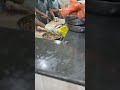 Fish cutting