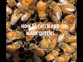 Catching and Marking Queens