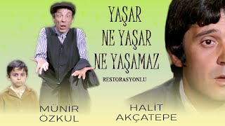 Yaşar Ne Yaşar Ne Yaşamaz Türk Filmi | Restorasyonlu | FULL HD | HALİT AKÇATEPE