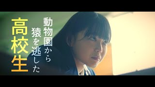 映画『彼女はなぜ、猿を逃したか？』予告編