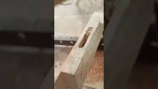 woodworking#shorts
